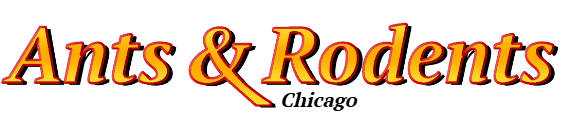Chicago Ant Exterminator & Rodent Control Company Logo